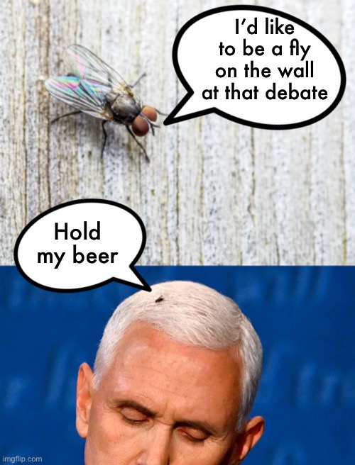 The Fly 2020 | I’d like to be a fly on the wall at that debate; Hold my beer | image tagged in fly on the wall,hold my beer,fly | made w/ Imgflip meme maker