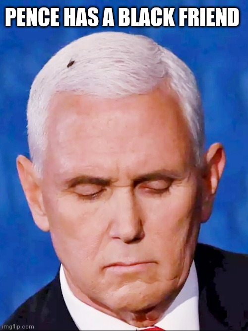 Pence black friend | PENCE HAS A BLACK FRIEND | image tagged in pence fly,mike pence,funny memes,election 2020 | made w/ Imgflip meme maker