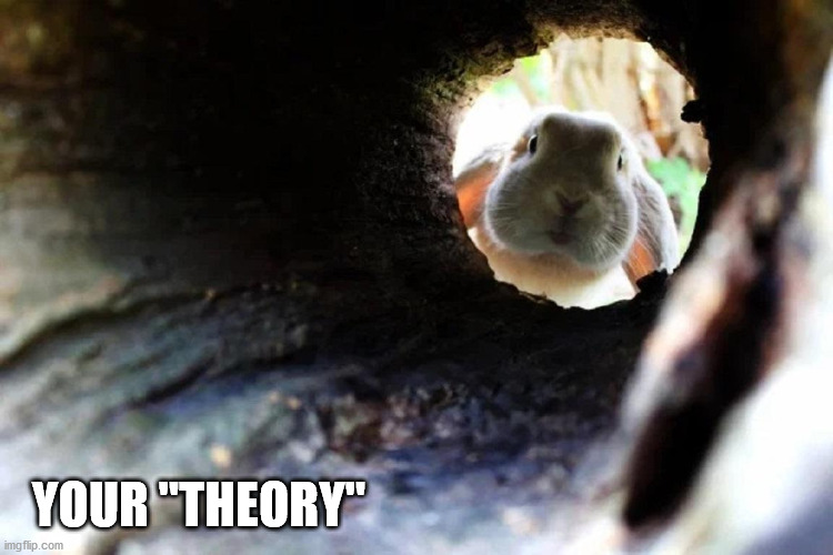YOUR "THEORY" | made w/ Imgflip meme maker