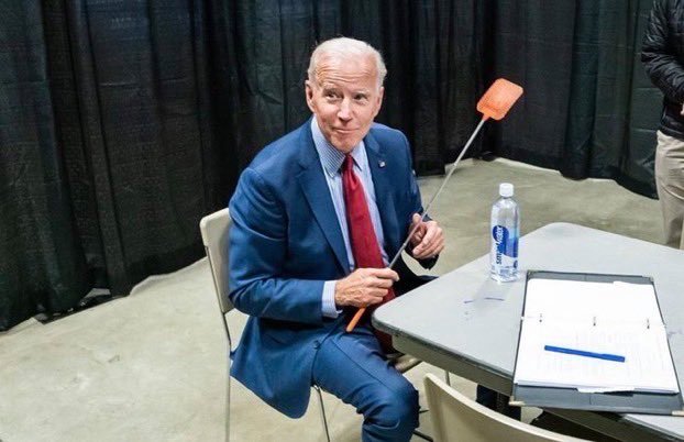 Joe Biden flyswatter Blank Meme Template