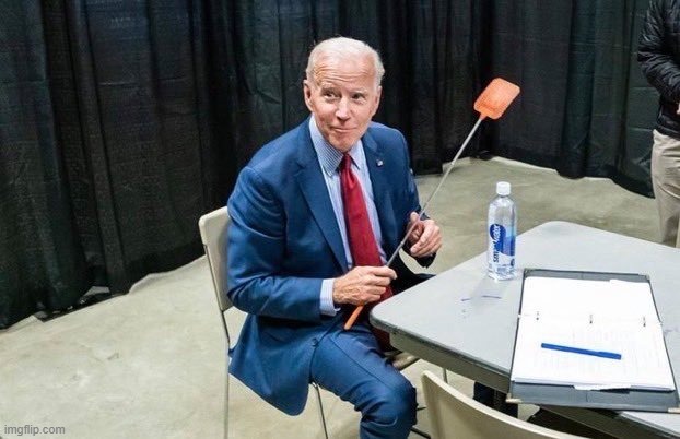 oh come on Joe don't do im like that | image tagged in joe biden flyswatter,election 2020,2020 elections,fly,mike pence,debate | made w/ Imgflip meme maker