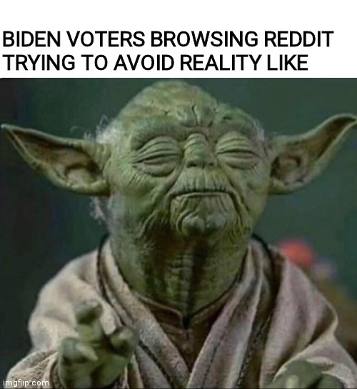 BIDEN VOTERS BROWSING REDDIT TRYING TO AVOID REALITY LIKE | made w/ Imgflip meme maker