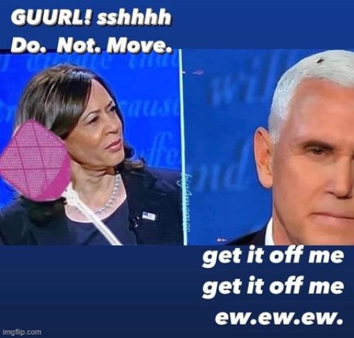 the comic relief this election desperately needed | image tagged in fly,repost,mike pence,debate,reposts are awesome,election 2020 | made w/ Imgflip meme maker