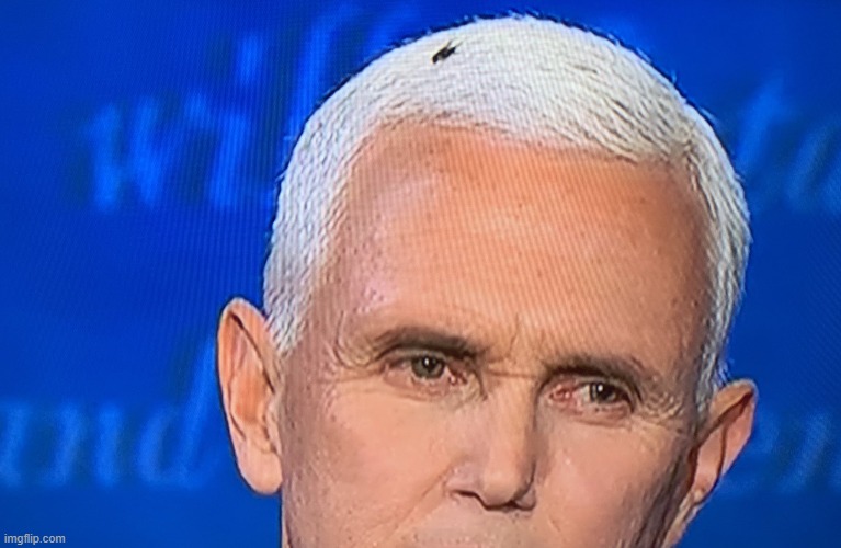 Pence Fly | image tagged in pence fly | made w/ Imgflip meme maker