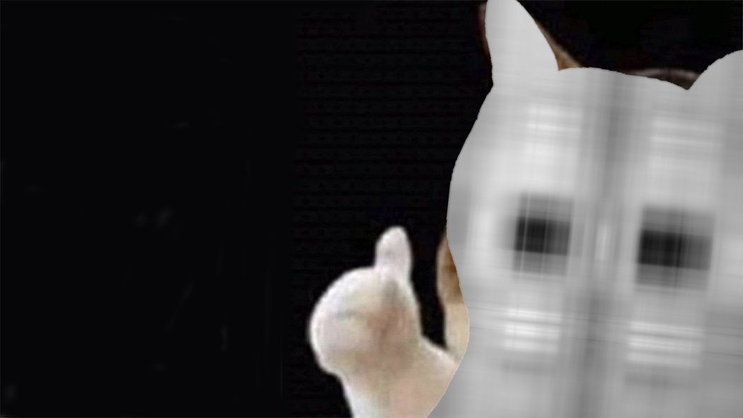 SVD cat thumbs up Blank Meme Template