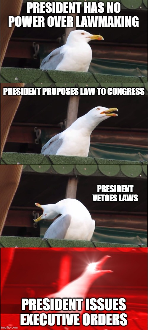 Presidential power over time | PRESIDENT HAS NO POWER OVER LAWMAKING; PRESIDENT PROPOSES LAW TO CONGRESS; PRESIDENT VETOES LAWS; PRESIDENT ISSUES EXECUTIVE ORDERS | image tagged in memes,inhaling seagull | made w/ Imgflip meme maker