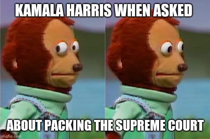 Kamala's Court | KAMALA HARRIS WHEN ASKED; ABOUT PACKING THE SUPREME COURT | image tagged in nervous monkey hd | made w/ Imgflip meme maker