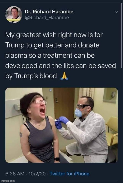 yah ayh own the libz with the turmp blood cure maga | image tagged in maga,triggered liberal,repost,excuse me what the fuck,excuse me what the heck,covid-19 | made w/ Imgflip meme maker
