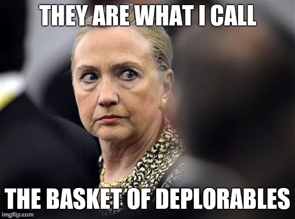 upset hillary | THEY ARE WHAT I CALL THE BASKET OF DEPLORABLES | image tagged in upset hillary | made w/ Imgflip meme maker