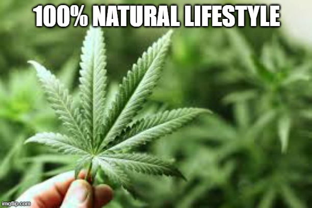 marijuana | 100% NATURAL LIFESTYLE | image tagged in marijuana | made w/ Imgflip meme maker