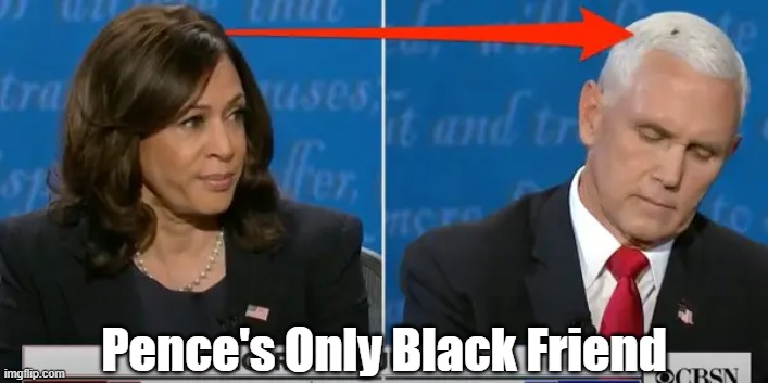 "Mike Pence's Only Black Friend" | Pence's Only Black Friend | image tagged in pence,fly,musca domestica,kamala harris,vice presidential debate | made w/ Imgflip meme maker