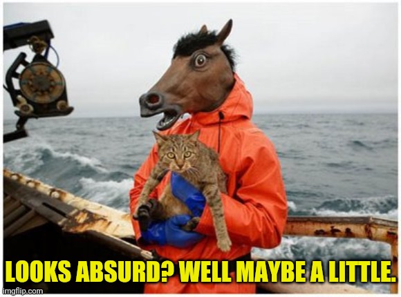 Absurd Horse Man  | LOOKS ABSURD? WELL MAYBE A LITTLE. | image tagged in absurd horse man | made w/ Imgflip meme maker