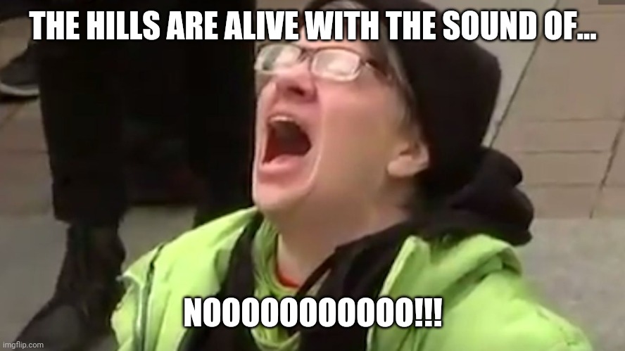 Screaming Liberal  | THE HILLS ARE ALIVE WITH THE SOUND OF... NOOOOOOOOOOO!!! | image tagged in screaming liberal | made w/ Imgflip meme maker
