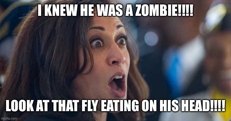 kamala harriss | I KNEW HE WAS A ZOMBIE!!!! LOOK AT THAT FLY EATING ON HIS HEAD!!!! | image tagged in kamala harriss | made w/ Imgflip meme maker