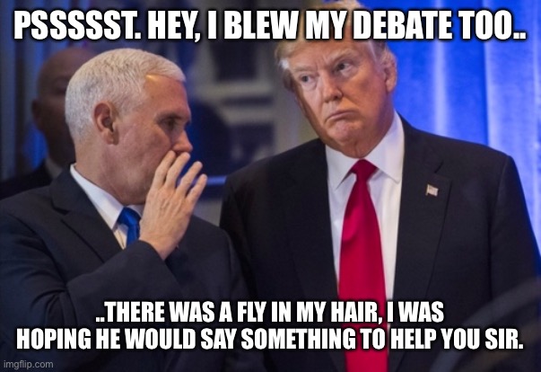 Trump Pence | PSSSSST. HEY, I BLEW MY DEBATE TOO.. ..THERE WAS A FLY IN MY HAIR, I WAS HOPING HE WOULD SAY SOMETHING TO HELP YOU SIR. | image tagged in trump pence | made w/ Imgflip meme maker