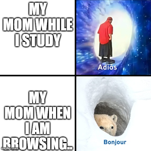 Adios Bonjour | MY MOM WHILE I STUDY; MY MOM WHEN I AM BROWSING.. | image tagged in adios bonjour | made w/ Imgflip meme maker