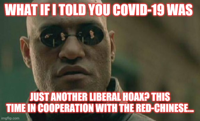 Still FAILED to get rid of Trump | WHAT IF I TOLD YOU COVID-19 WAS; JUST ANOTHER LIBERAL HOAX? THIS TIME IN COOPERATION WITH THE RED-CHINESE... | image tagged in matrix morpheus,democrats,suck,vote,trump,2020 | made w/ Imgflip meme maker
