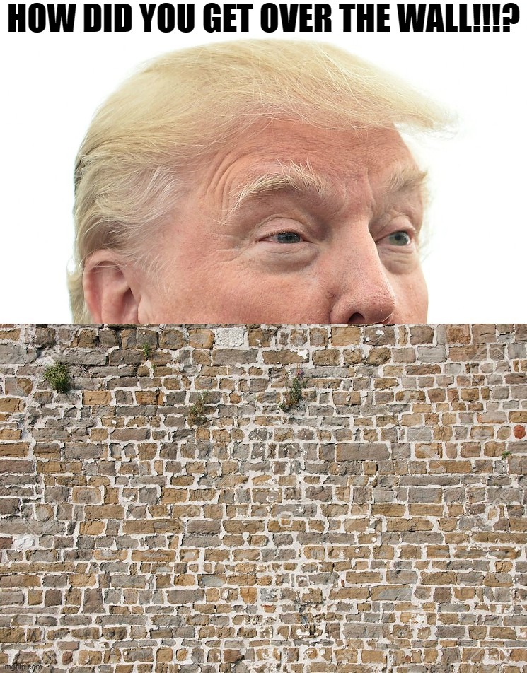 Over Trump Wall | HOW DID YOU GET OVER THE WALL!!!? | image tagged in trump wall,trump,wall,mexican,mexico,wet | made w/ Imgflip meme maker