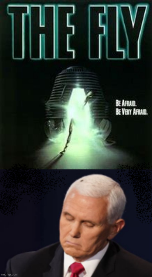 Pencefly 2020 | image tagged in election 2020 | made w/ Imgflip meme maker