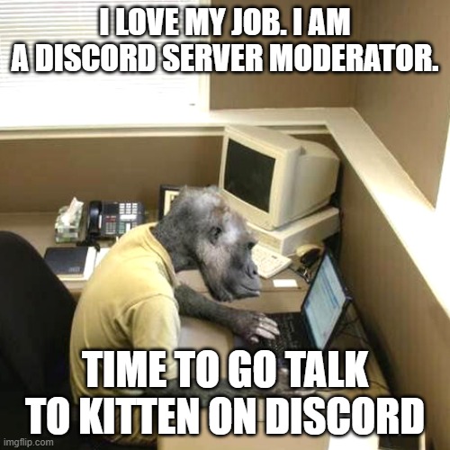 Monkey Business Meme | I LOVE MY JOB. I AM A DISCORD SERVER MODERATOR. TIME TO GO TALK TO KITTEN ON DISCORD | image tagged in memes,monkey business | made w/ Imgflip meme maker
