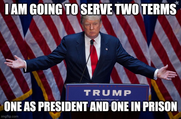 Donald Trump | I AM GOING TO SERVE TWO TERMS; ONE AS PRESIDENT AND ONE IN PRISON | image tagged in donald trump | made w/ Imgflip meme maker