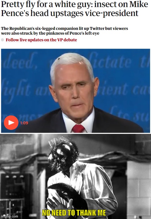 Pence got upstaged | NO NEED TO THANK ME | image tagged in pence,debate,fly,outstaged | made w/ Imgflip meme maker