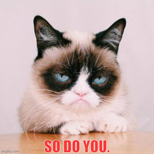 grumpy cat again | SO DO YOU. | image tagged in grumpy cat again | made w/ Imgflip meme maker