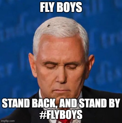 fly boys | FLY BOYS; STAND BACK, AND STAND BY
#FLYBOYS | image tagged in debate | made w/ Imgflip meme maker