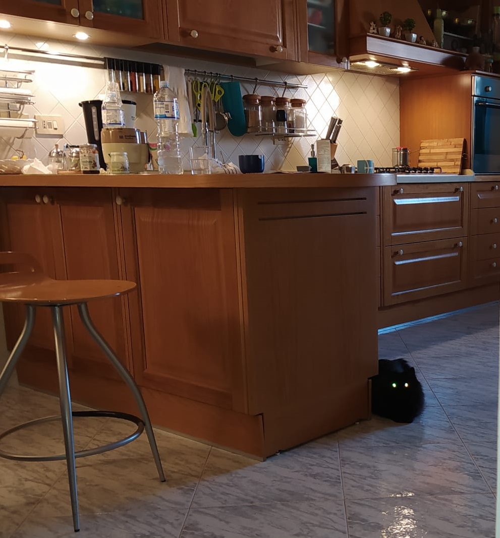 High Quality Black cat camping Blank Meme Template