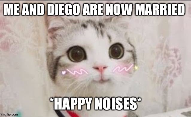 cute cat uwu | ME AND DIEGO ARE NOW MARRIED; *HAPPY NOISES* | image tagged in cute cat uwu | made w/ Imgflip meme maker