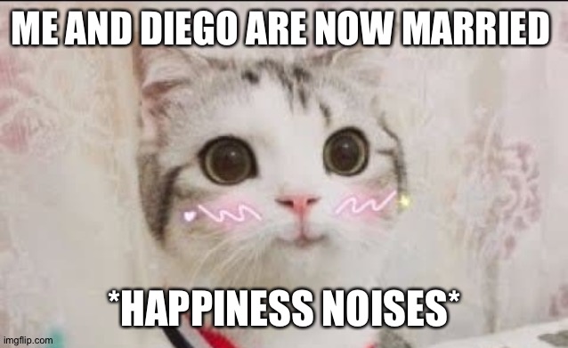 Sad ending :(( -Shiyu | ME AND DIEGO ARE NOW MARRIED; *HAPPINESS NOISES* | image tagged in cute cat uwu | made w/ Imgflip meme maker