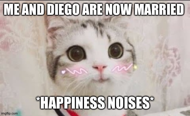 cute cat uwu | ME AND DIEGO ARE NOW MARRIED; *HAPPINESS NOISES* | image tagged in cute cat uwu | made w/ Imgflip meme maker