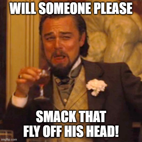 The Fly | WILL SOMEONE PLEASE; SMACK THAT FLY OFF HIS HEAD! | image tagged in memes,laughing leo | made w/ Imgflip meme maker