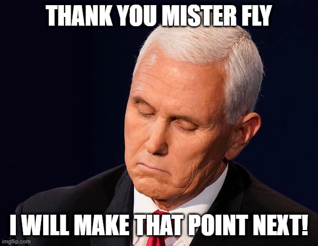 Mike's Friend | THANK YOU MISTER FLY; I WILL MAKE THAT POINT NEXT! | image tagged in thefly | made w/ Imgflip meme maker
