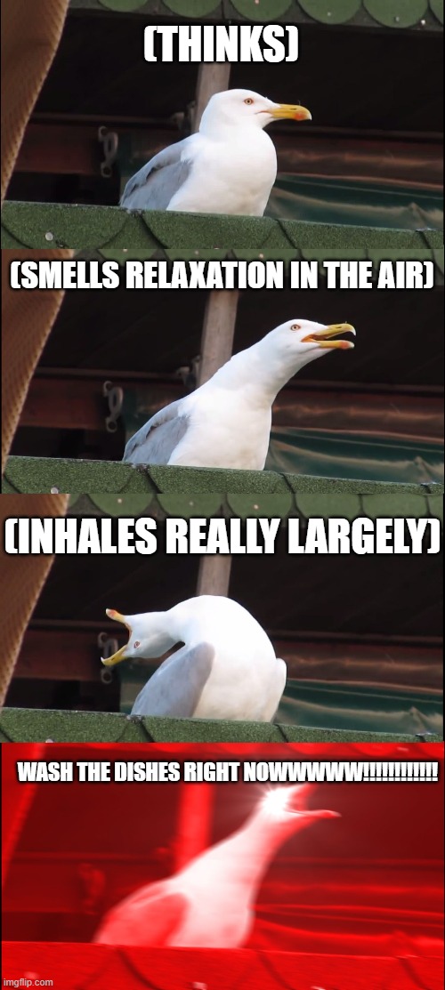 Inhaling Seagull Meme | (THINKS); (SMELLS RELAXATION IN THE AIR); (INHALES REALLY LARGELY); WASH THE DISHES RIGHT NOWWWWW!!!!!!!!!!!! | image tagged in memes,inhaling seagull | made w/ Imgflip meme maker