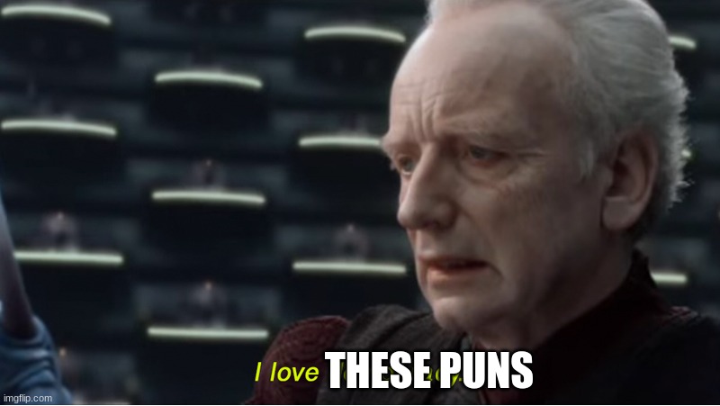 I love democracy | THESE PUNS | image tagged in i love democracy | made w/ Imgflip meme maker