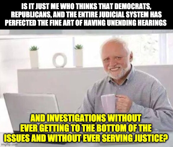 Justice? | IS IT JUST ME WHO THINKS THAT DEMOCRATS, REPUBLICANS, AND THE ENTIRE JUDICIAL SYSTEM HAS PERFECTED THE FINE ART OF HAVING UNENDING HEARINGS; AND INVESTIGATIONS WITHOUT EVER GETTING TO THE BOTTOM OF THE ISSUES AND WITHOUT EVER SERVING JUSTICE? | image tagged in harold | made w/ Imgflip meme maker