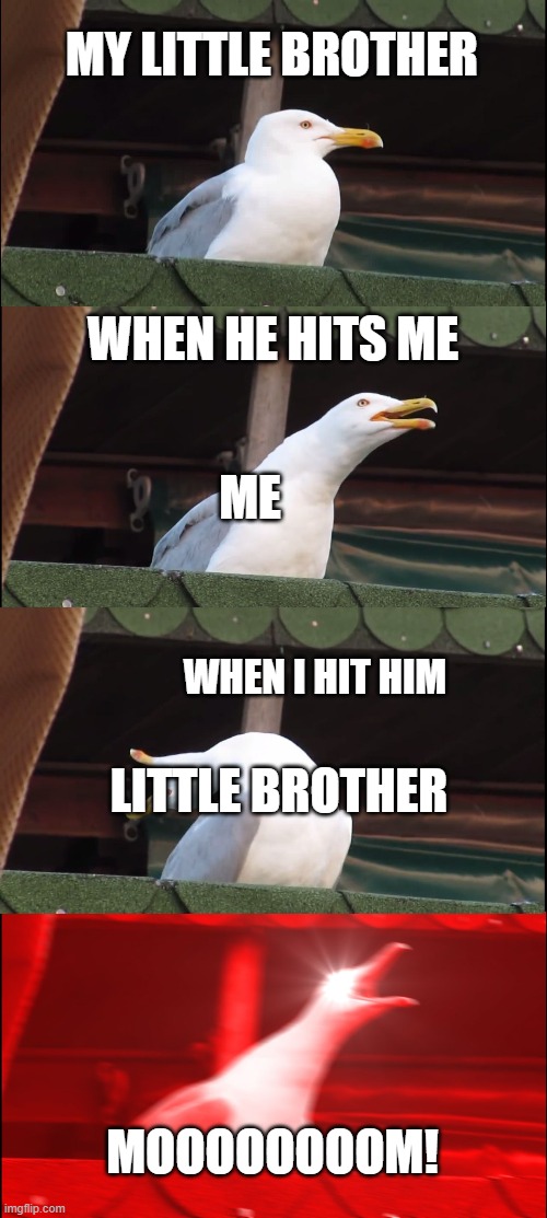 Inhaling Seagull | MY LITTLE BROTHER; WHEN HE HITS ME; ME; WHEN I HIT HIM; LITTLE BROTHER; MOOOOOOOOM! | image tagged in memes,inhaling seagull | made w/ Imgflip meme maker