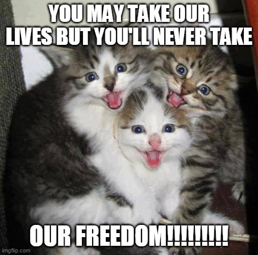 Rebellious Kittens | YOU MAY TAKE OUR LIVES BUT YOU'LL NEVER TAKE; OUR FREEDOM!!!!!!!!! | image tagged in braveheart,kittens,friendship,memes | made w/ Imgflip meme maker