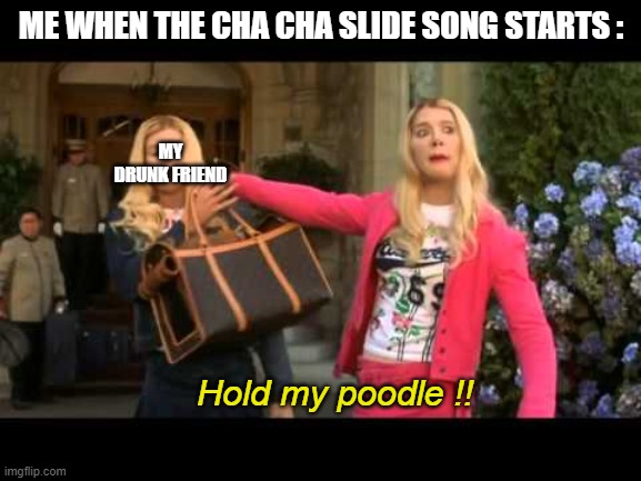Sliiiiiiide to the left ! Sliiiiiiide to the right ! | ME WHEN THE CHA CHA SLIDE SONG STARTS :; MY DRUNK FRIEND; Hold my poodle !! | image tagged in yo hold my poodle,memes,fun,cha cha real smooth,song | made w/ Imgflip meme maker