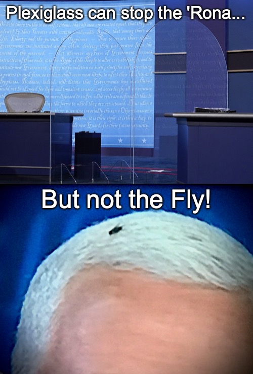 Fly > Plexiglass > Corona = Fly > Corona | Plexiglass can stop the 'Rona... But not the Fly! | image tagged in plexiglass debate,debate fly,corona,covid19,vp debate | made w/ Imgflip meme maker