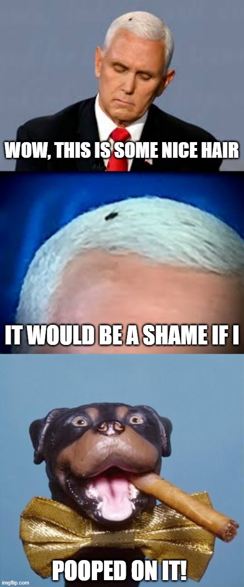 Live Look at Pence's Fly | WOW, THIS IS SOME NICE HAIR; IT WOULD BE A SHAME IF I; POOPED ON IT! | image tagged in parody,pence | made w/ Imgflip meme maker