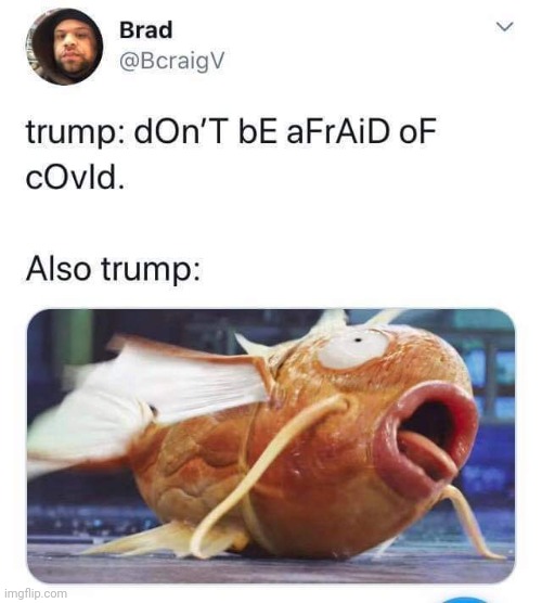image tagged in trump | made w/ Imgflip meme maker