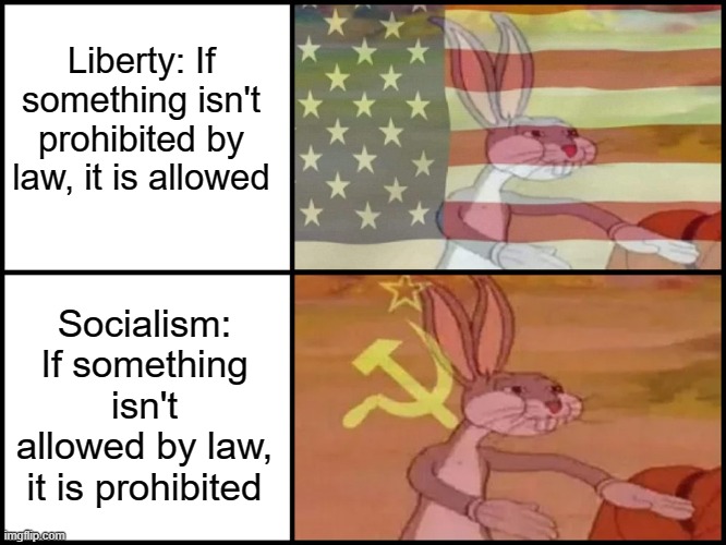 Know the difference! | Liberty: If something isn't prohibited by law, it is allowed; Socialism: If something isn't allowed by law, it is prohibited | image tagged in capitalist and communist,socialism,liberty,capitalism | made w/ Imgflip meme maker
