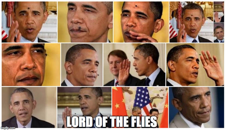 flies | LORD OF THE FLIES | image tagged in flies | made w/ Imgflip meme maker