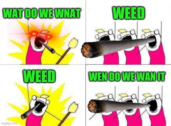 guese the vine.       NOW | WAT DO WE WNAT; WEED; WEN DO WE WAN IT; WEED | image tagged in memes,what do we want | made w/ Imgflip meme maker