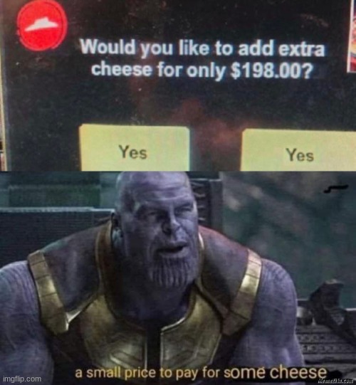 expensive cheese | image tagged in softwaregore | made w/ Imgflip meme maker