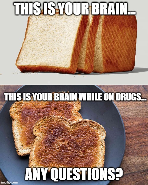 Any questions? | THIS IS YOUR BRAIN... THIS IS YOUR BRAIN WHILE ON DRUGS... ANY QUESTIONS? | image tagged in drugs,don't do drugs,drugs are bad,burnt toast,toast | made w/ Imgflip meme maker