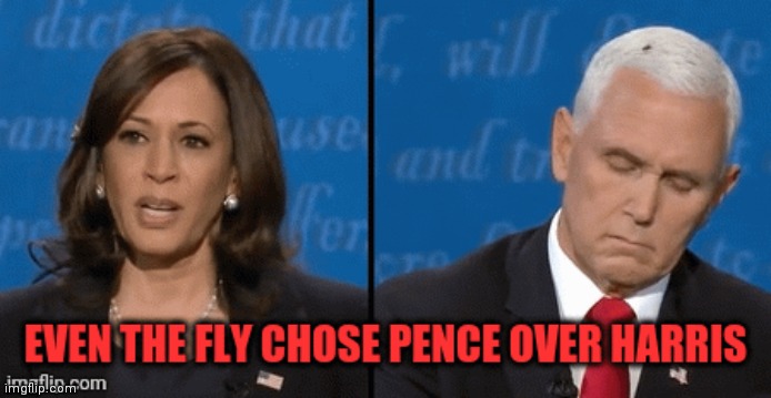 Pence | image tagged in mike pence vp | made w/ Imgflip meme maker