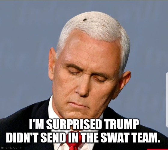 Pence's Fly | I'M SURPRISED TRUMP DIDN'T SEND IN THE SWAT TEAM. | image tagged in fly,mike pence,pence | made w/ Imgflip meme maker